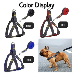 Dog Belt