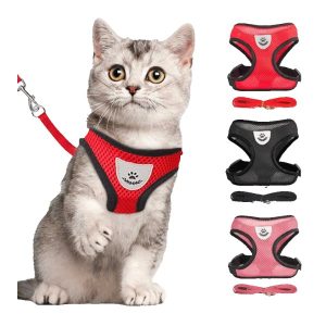 Cat Belt / Harness